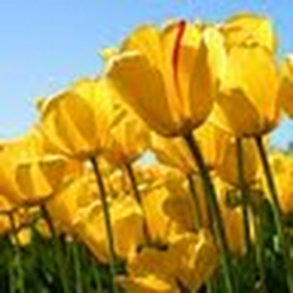 Meet your Posher, Cool